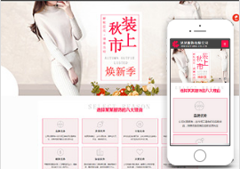 女装服饰公司官网模板