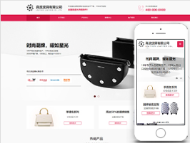 分红系列皮具有限公司