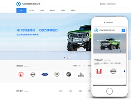 汽车销售服务有限公司